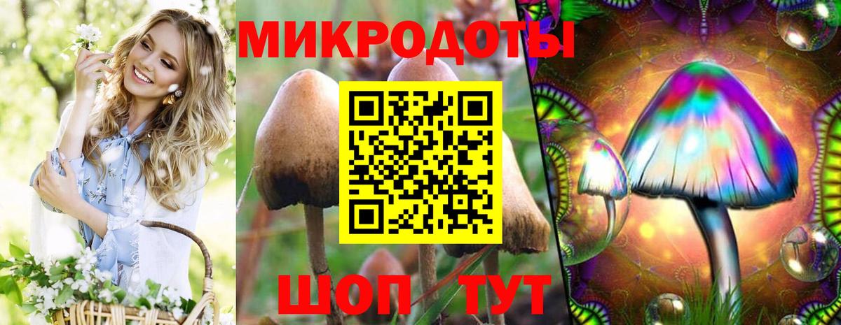 продажа наркотиков  Псилоцибиновые грибы GOLDEN TEACHER  Вход с VPN  Морозовск 