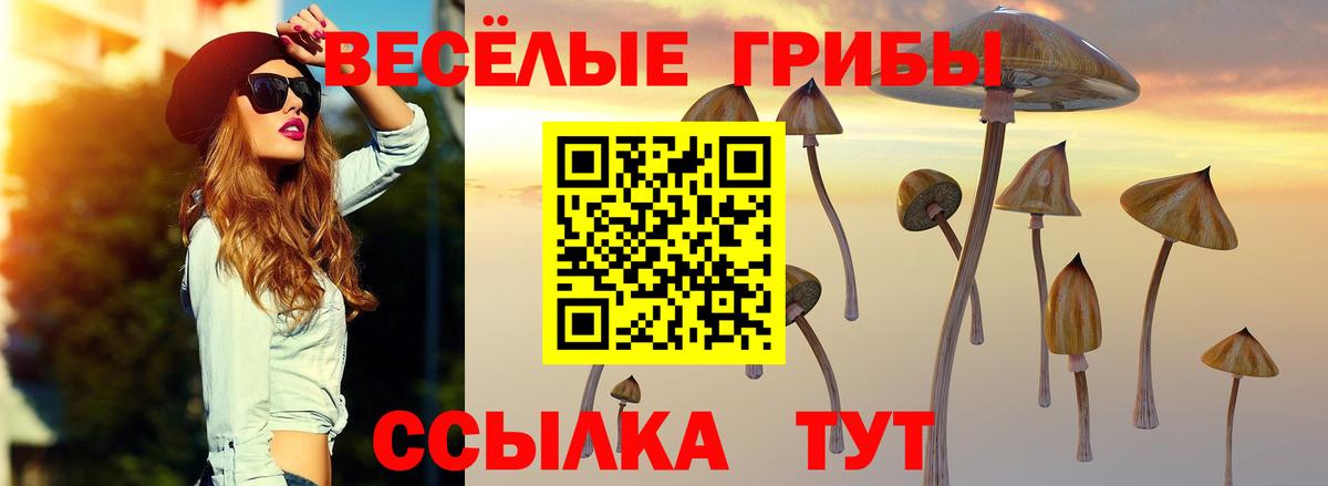 Галлюциногенные грибы прущие грибы Морозовск